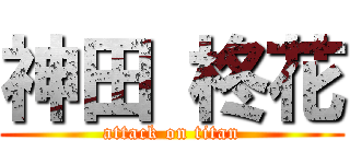 神田 柊花 (attack on titan)