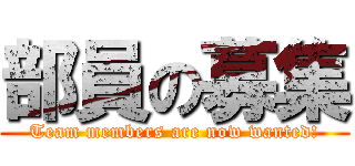 部員の募集 (Team members are now wanted!)
