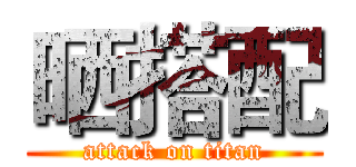 晒搭配 (attack on titan)