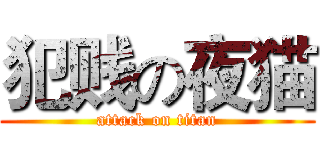 犯贱の夜猫 (attack on titan)