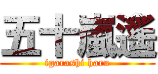 五十嵐遙 (igarashi haru)