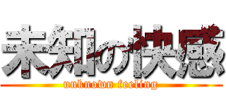 未知の快感 (unknown feeling)