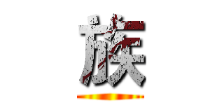 族 ()