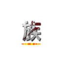 族 ()