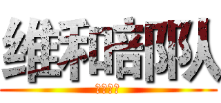 维和部队 (维和部队)