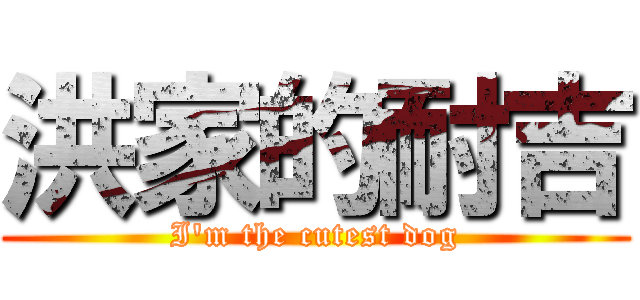 洪家的耐吉 (I\'m the cutest dog)