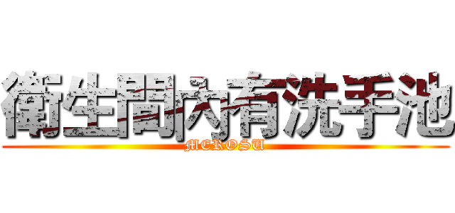 衛生間內有洗手池 (MEROSU)