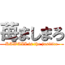 苺ましまろ (KAWAII is the jusitice)