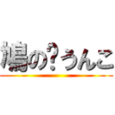 鳩の☝うんこ ()