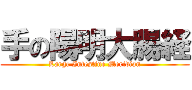 手の陽明大腸経 (Large Intestine Meridian)