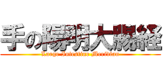 手の陽明大腸経 (Large Intestine Meridian)