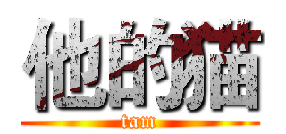 他的猫 (tam)