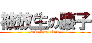 被放生の腰子 (attack on titan)