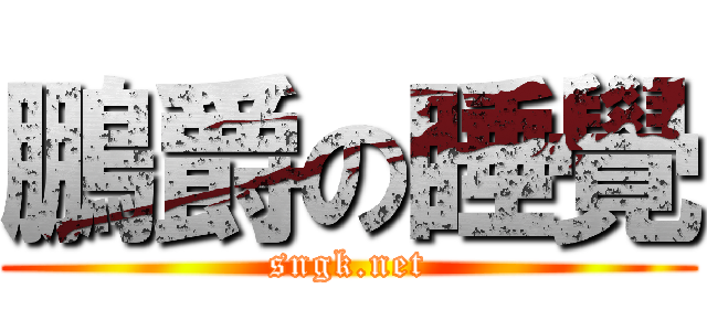 鵬爵の睡覺 (sngk.net)