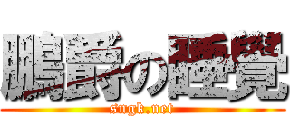 鵬爵の睡覺 (sngk.net)
