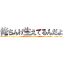 俺ちんげ生えてるんだよ (attack on titan)