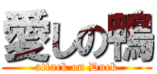 愛しの鴨 (attack on Duck)