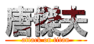 唐傑夫 (attack on titan)