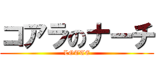 コアラのナーチ (LOTTE)