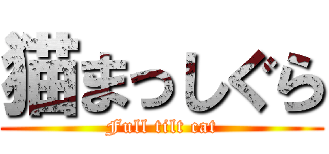 猫まっしぐら (Full tilt cat)