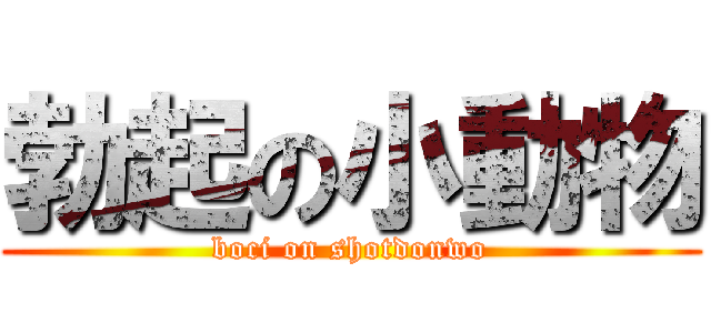 勃起の小動物 (boci on shotdonwo)