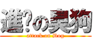 進擊の臭狗 (attack on Dog)