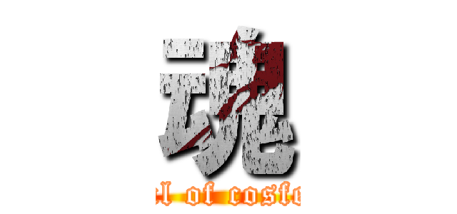 魂 (soul of cosfest)