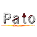 Ｐａｔｏ (Aranda)