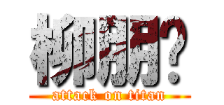 柳朋辉 (attack on titan)