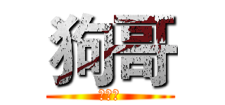 狗哥 (真牛逼)