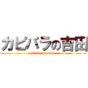 カピバラの吉田 (a little handsome)