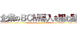 企業のＢＣＭ導入を阻む壁 (What is the optimum BCM)