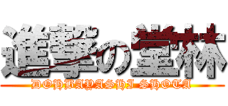 進撃の堂林 (DOHBAYASHI SHOTA)