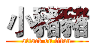小豬豬 (attack on titan)
