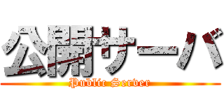 公開サーバ (Public Server)