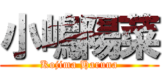 小嶋陽菜 (Kojima Haruna)