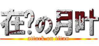 在线の月叶 (attack on titan)