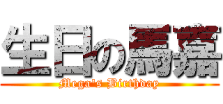 生日の馬嘉 (Mega\'s Birthday)