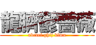 龍臍鬱薔薇 (abcdef ghij klmn)