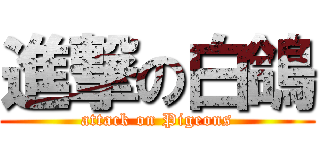 進撃の白鴿 (attack on Pigeons)