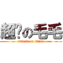 超帅の毛毛 (attack on titan)