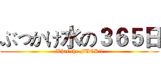 ぶっかけ水の３６５日 (What the FUCK!!)