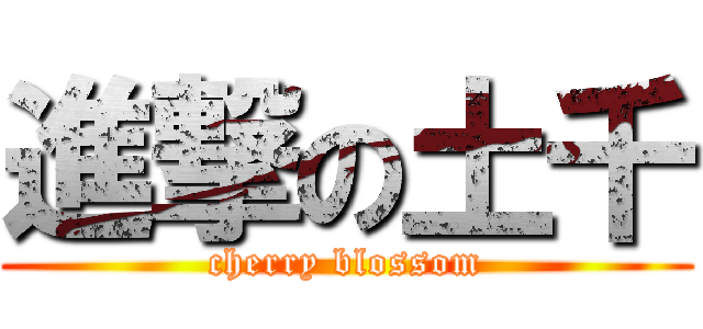 進撃の土千 (cherry blossom)