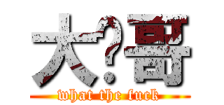 大飞哥 (what the fuck)