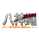 八神蠅 (Yagami Ying)