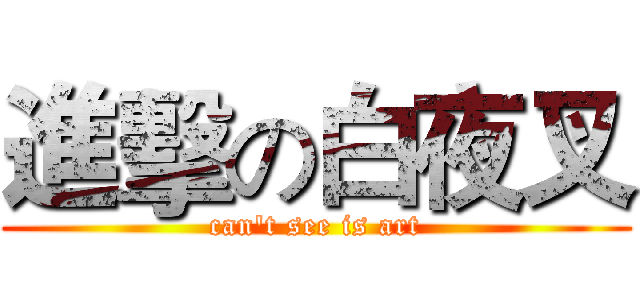 進擊の白夜叉 (can't see is art)