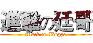 進擊の廷哥 (attack on Tingge)