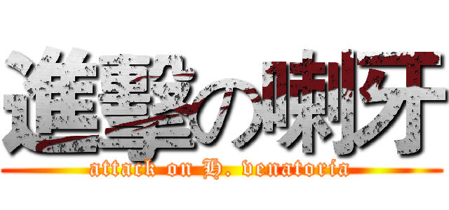 進擊の喇牙 (attack on H. venatoria)