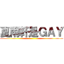 夏雨軒是ＧＡＹ ()