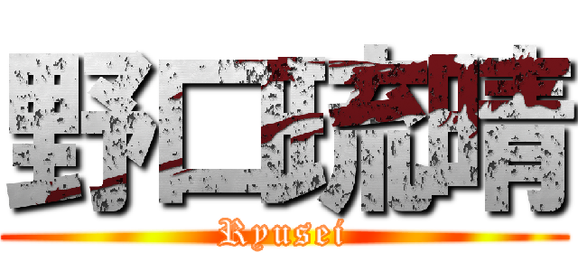 野口琉晴 (Ryusei)